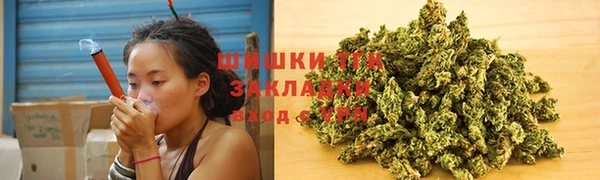 PSILOCYBIN Верея
