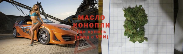 индика Бородино