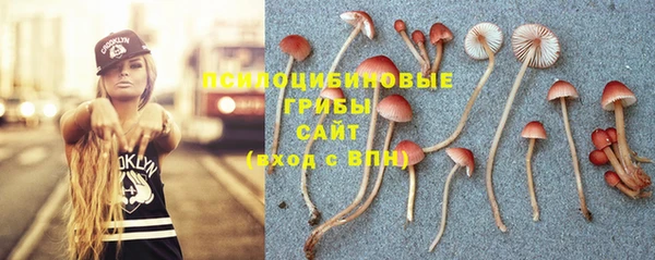 синтетический гашиш Верхний Тагил