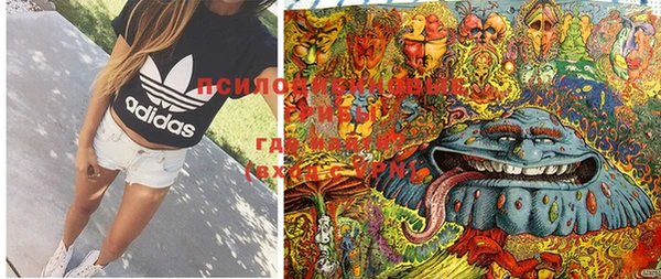 PSILOCYBIN Верея