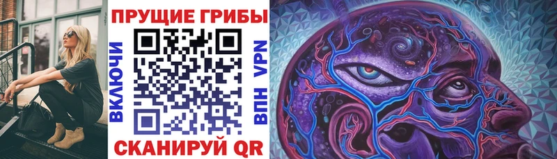 Купить закладки  Голицыно  Галлюциногенные грибы Psilocybe 